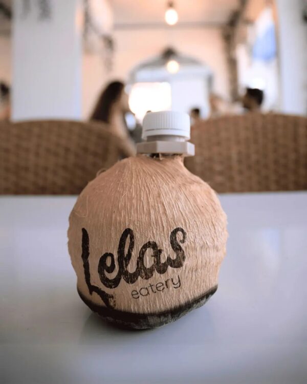 447556112_482243047654693_8724789499657333286_n