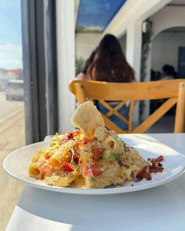 448612267_489206926958305_2972502256408705785_n