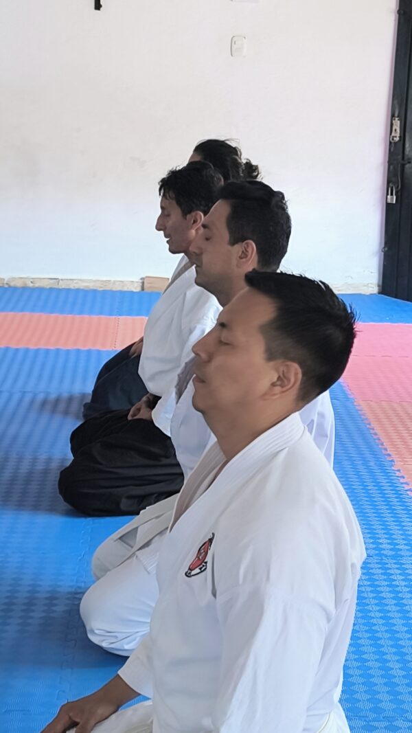Práctica de Aikido en el Dojo Popayán con instructores certificados