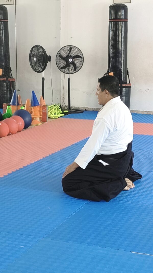 IEntrenamiento de Aikido para niños y adultos en Popayán