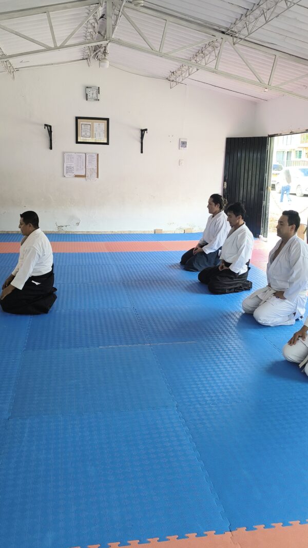 IMG_20250703_235007 - Ricardo Zambrano Daza