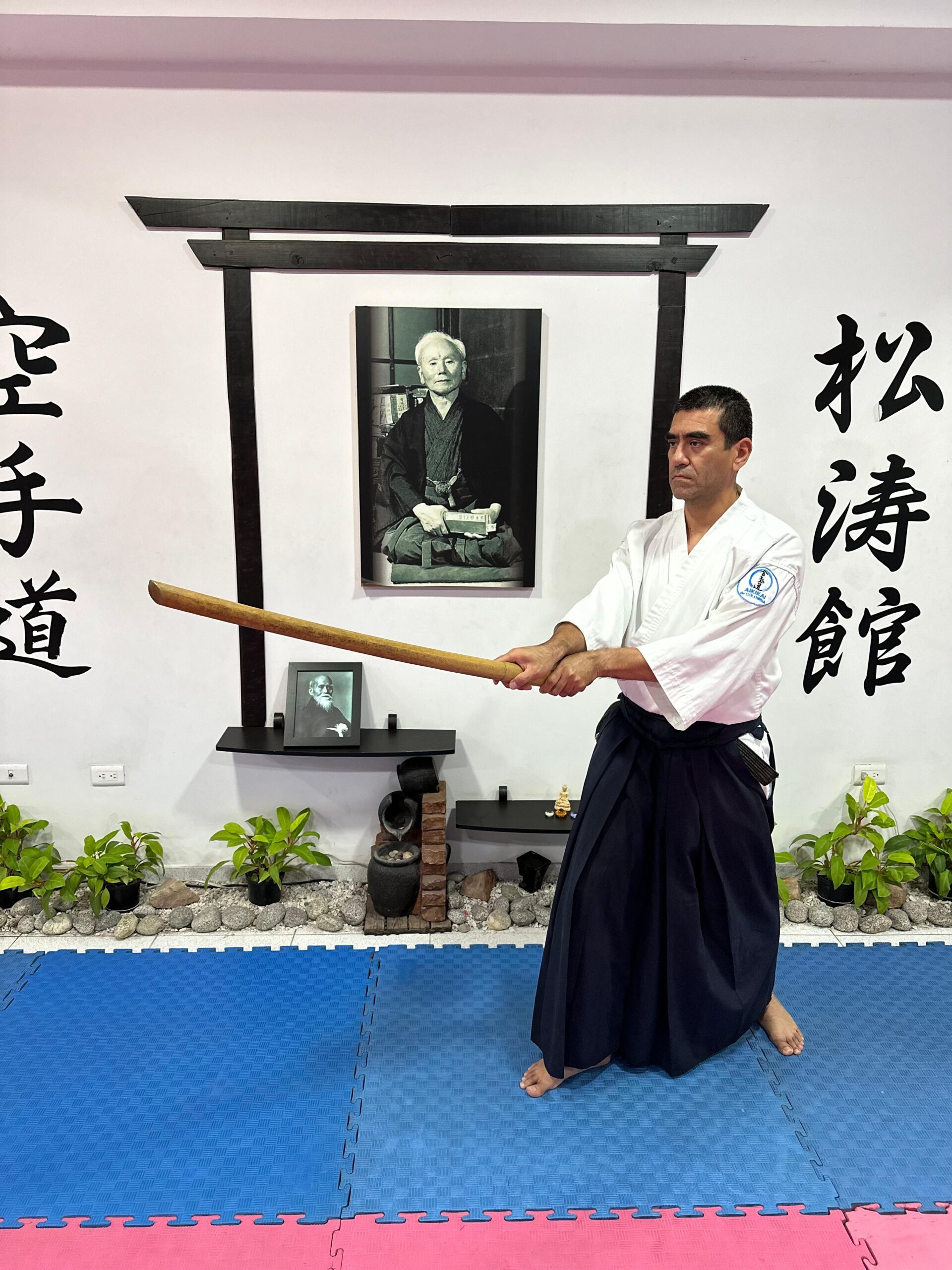 aikikaidecolombiacali (7)