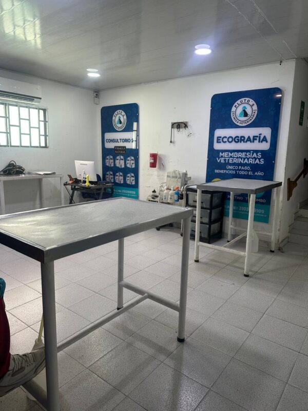 Clinica Veterinaria Plutos (11)
