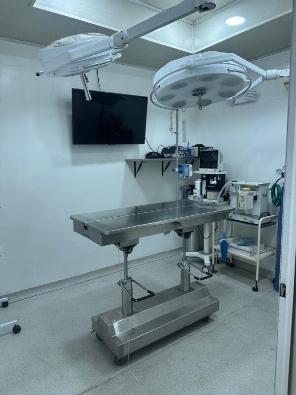 Clinica Veterinaria Plutos (6)