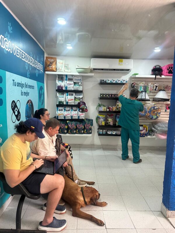 Clinica Veterinaria Plutos (9)