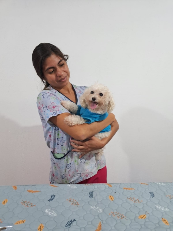 Veterinaria Vetmas (10)