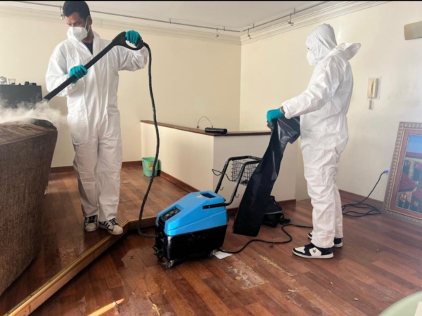 WhatsApp Image 2025-09-09 at 3.47.10 PM (1)